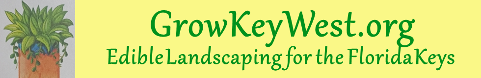 Grow Key West Header logo